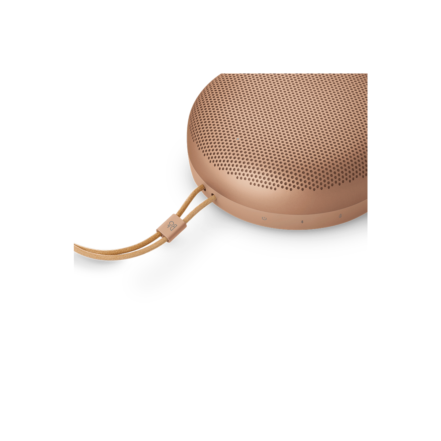 Bang & Olufsen Beosound A1 3RD Gen Waterproof Speaker