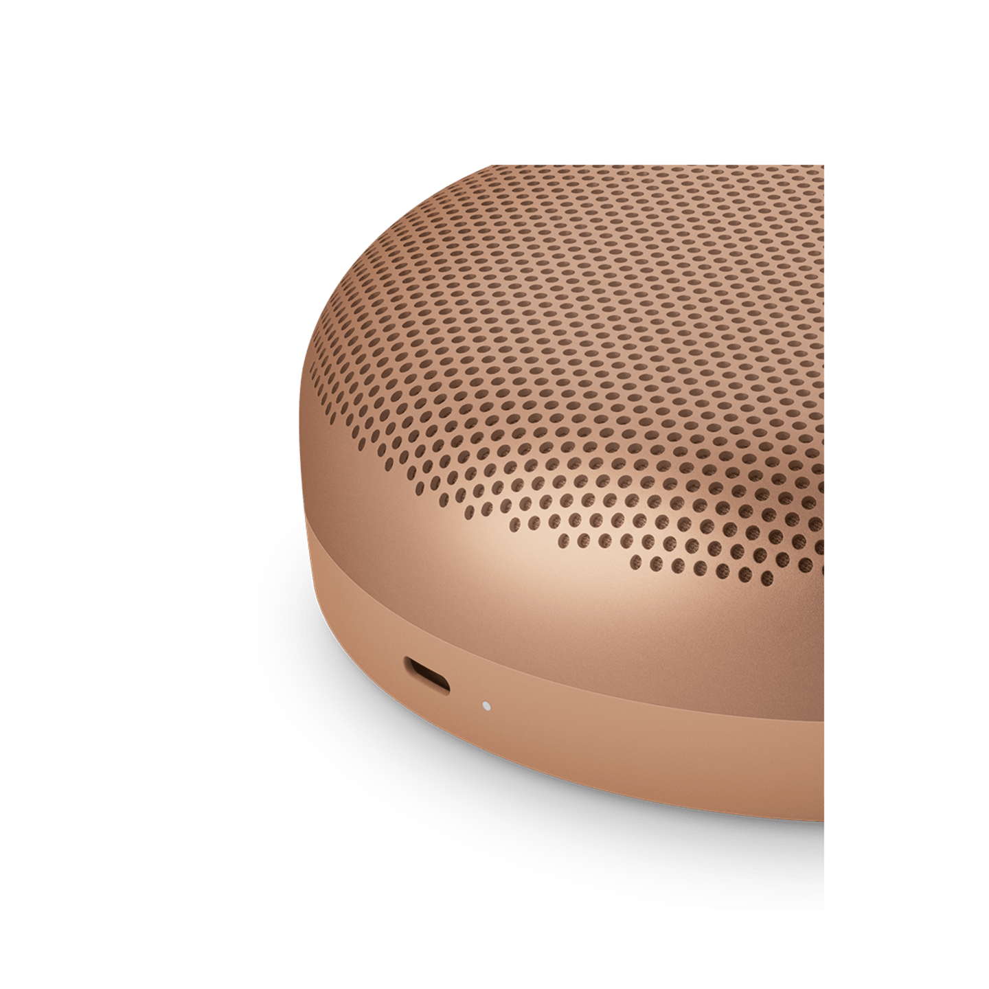 Bang & Olufsen Beosound A1 3RD Gen Waterproof Speaker