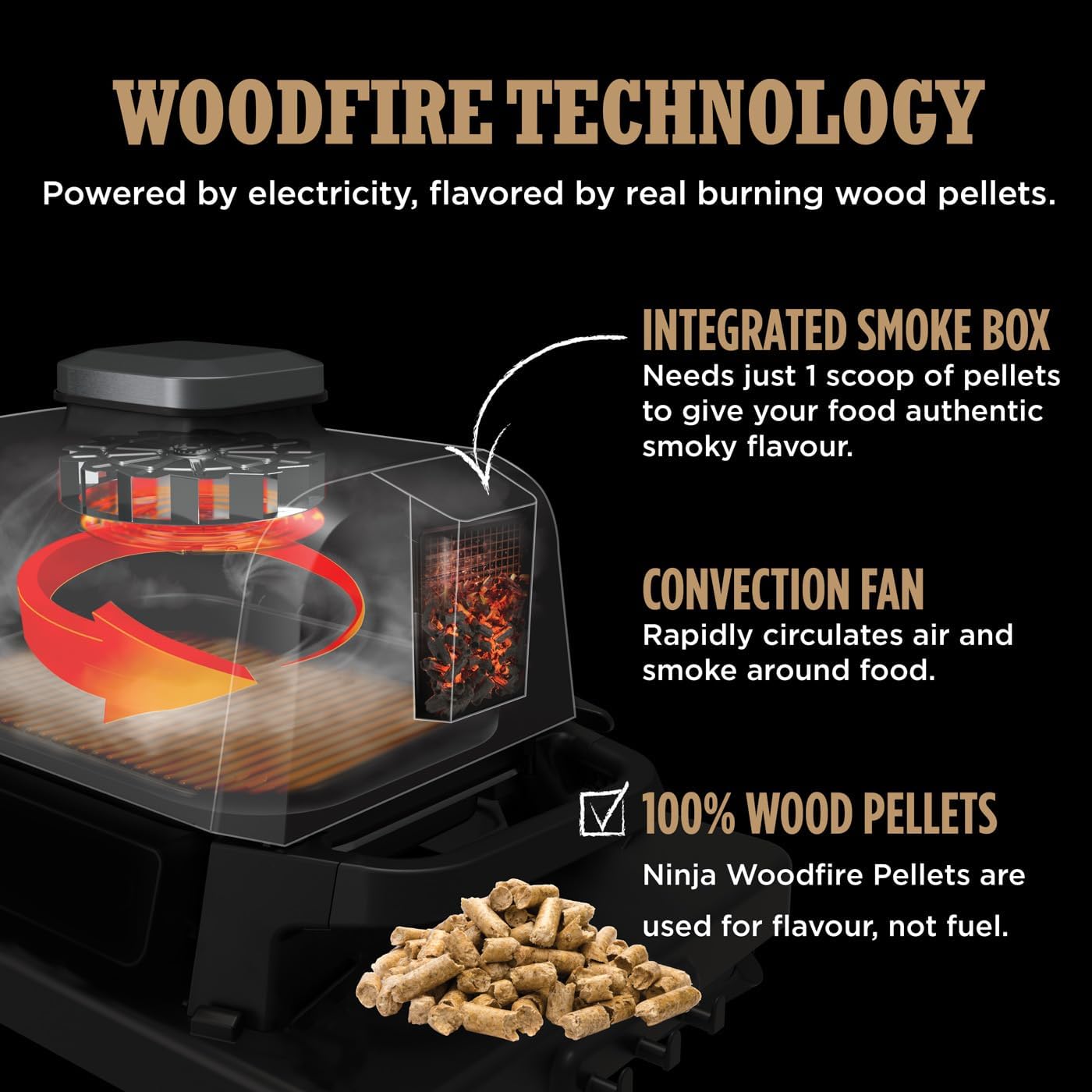 Ninja Woodfire Electric BBQ Grill & Smoker