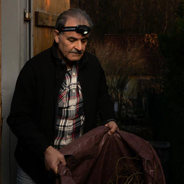  An older man wearing a LED Lenser headlamp is holding a large tarp or bag outdoors in a garden setting during dusk. He is dressed in a plaid shirt under a dark jacket, working in low-light conditions with the headlamp illuminating his task. The background features trees and a house, indicating an evening garden setting.