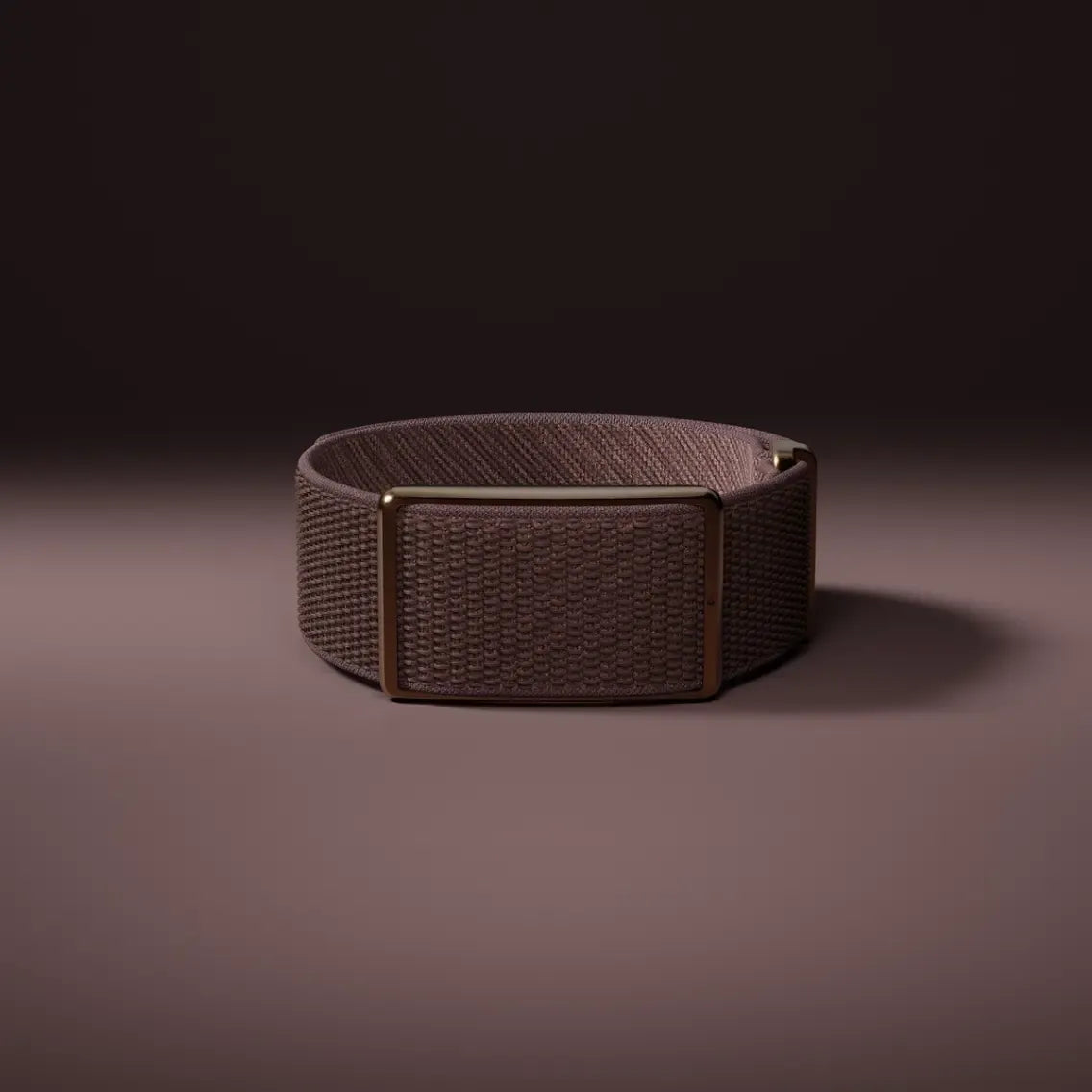 POLAR Loop Screen-Free Wearable Health Band & Fitness Tracker