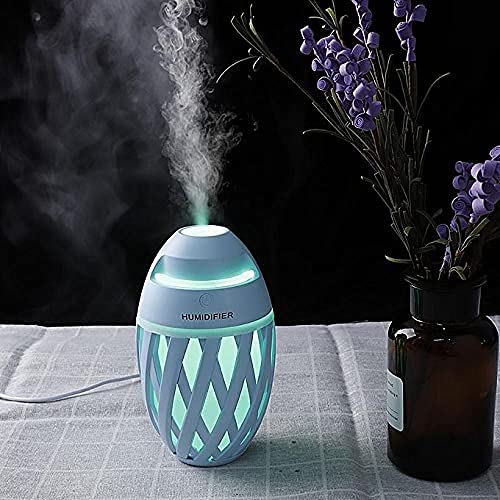 Portable Olive Humidifier